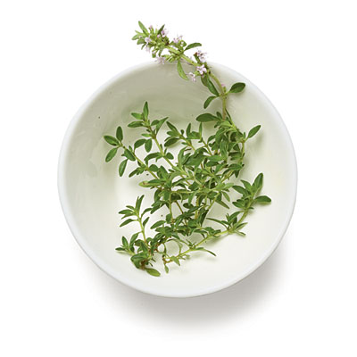 0910p48-thyme-l