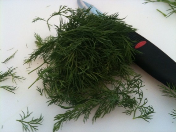 dill